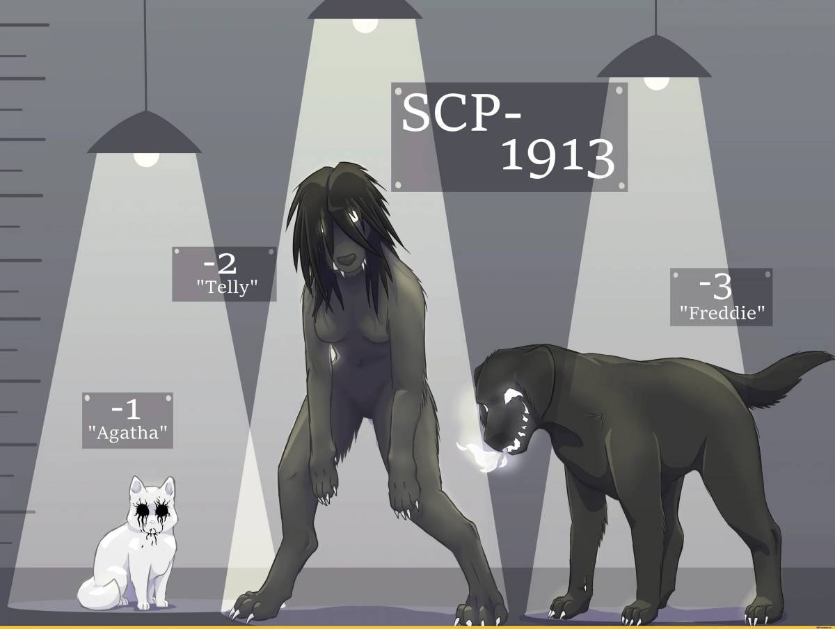 Scp #7