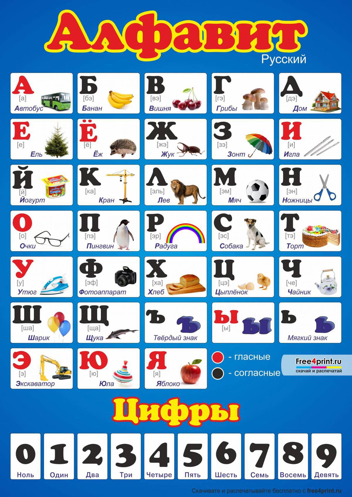 Алфавит для детей с картинками по названию буквы #28