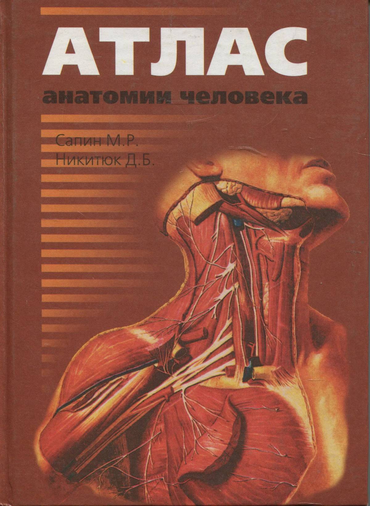 Анатомия человека атлас #20
