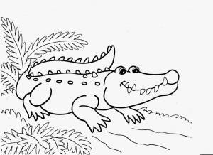 Раскраска крокодил для детей 3 4 лет #13 #356266