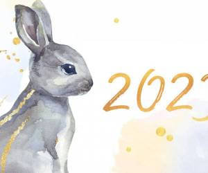 Раскраска кролик 2023 #2 #356329