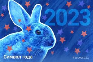 Раскраска кролик 2023 #23 #356350
