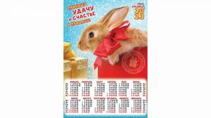 Раскраска кролик 2023 #28 #356355