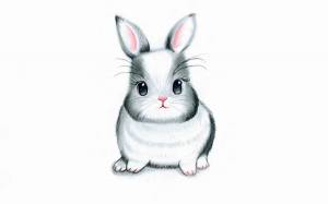Раскраска кролик рисунок #30 #356527