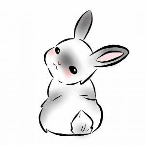 Раскраска кролик рисунок #34 #356531