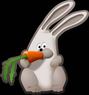 Раскраска кролик с морковкой #4 #356539