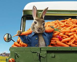 Раскраска кролик с морковкой #19 #356554
