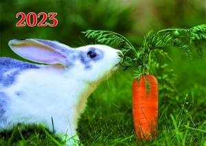 Раскраска кролик с морковкой #21 #356556