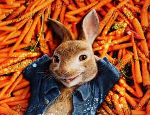 Раскраска кролик с морковкой #23 #356558