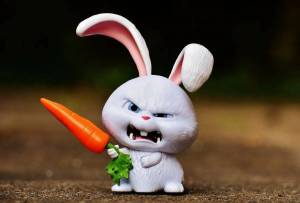 Раскраска кролик с морковкой #27 #356562