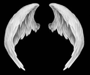 Раскраска крылья ангела #5 #358554