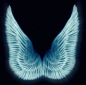 Раскраска крылья ангела #11 #358560