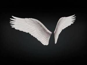 Раскраска крылья ангела #32 #358581