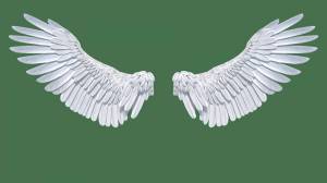 Раскраска крылья ангела #34 #358583