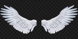 Раскраска крылья ангела #35 #358584