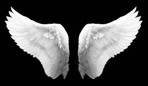 Раскраска крылья ангела #37 #358586