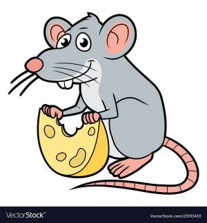Раскраска крыса для детей #2 #358656