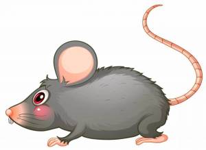 Раскраска крыса для детей #4 #358658
