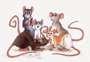 Раскраска крыса для детей #6 #358660