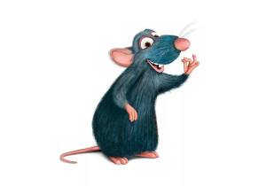 Раскраска крыса для детей #7 #358661