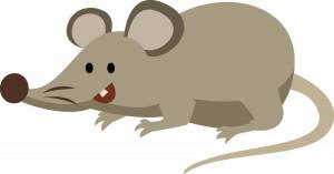 Раскраска крыса для детей #8 #358662