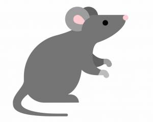 Раскраска крыса для детей #10 #358664