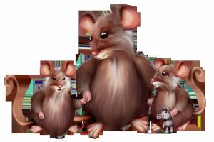 Раскраска крыса для детей #17 #358671