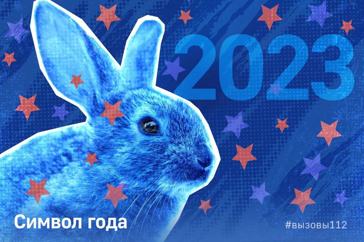 Кролик 2023 #23