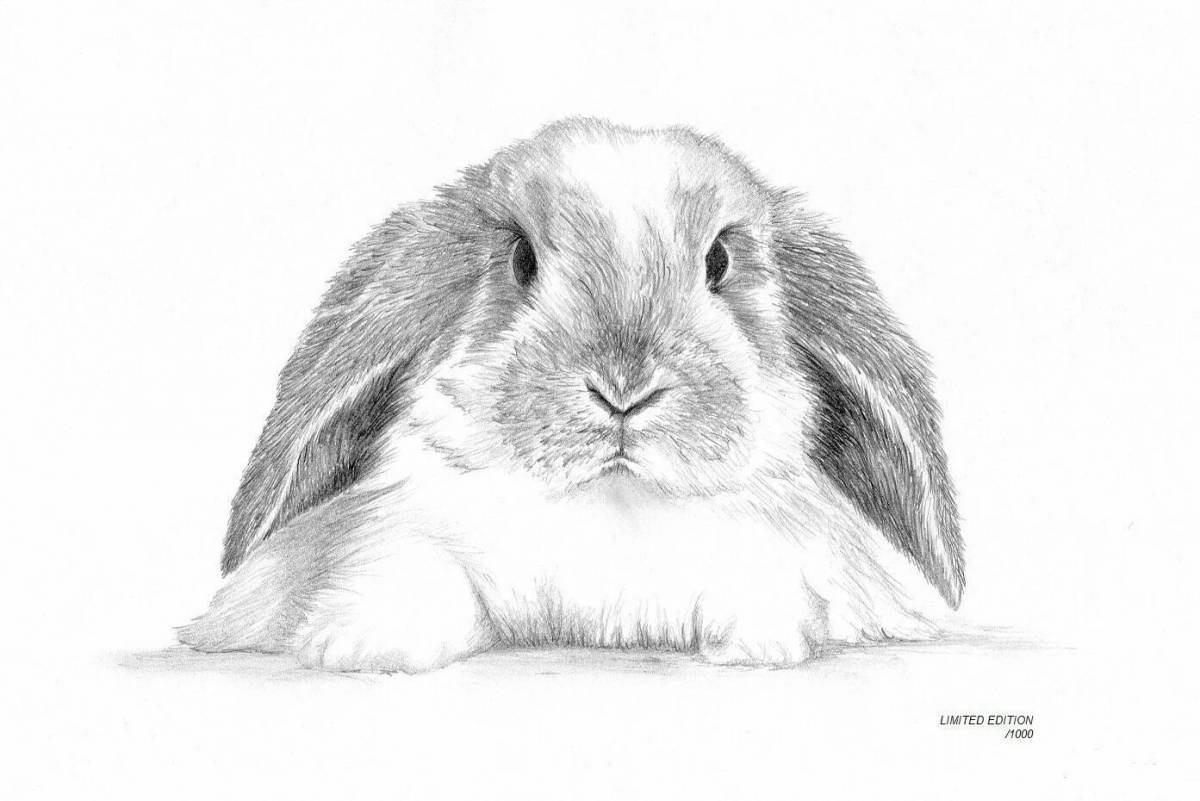 Кролик рисунок #4