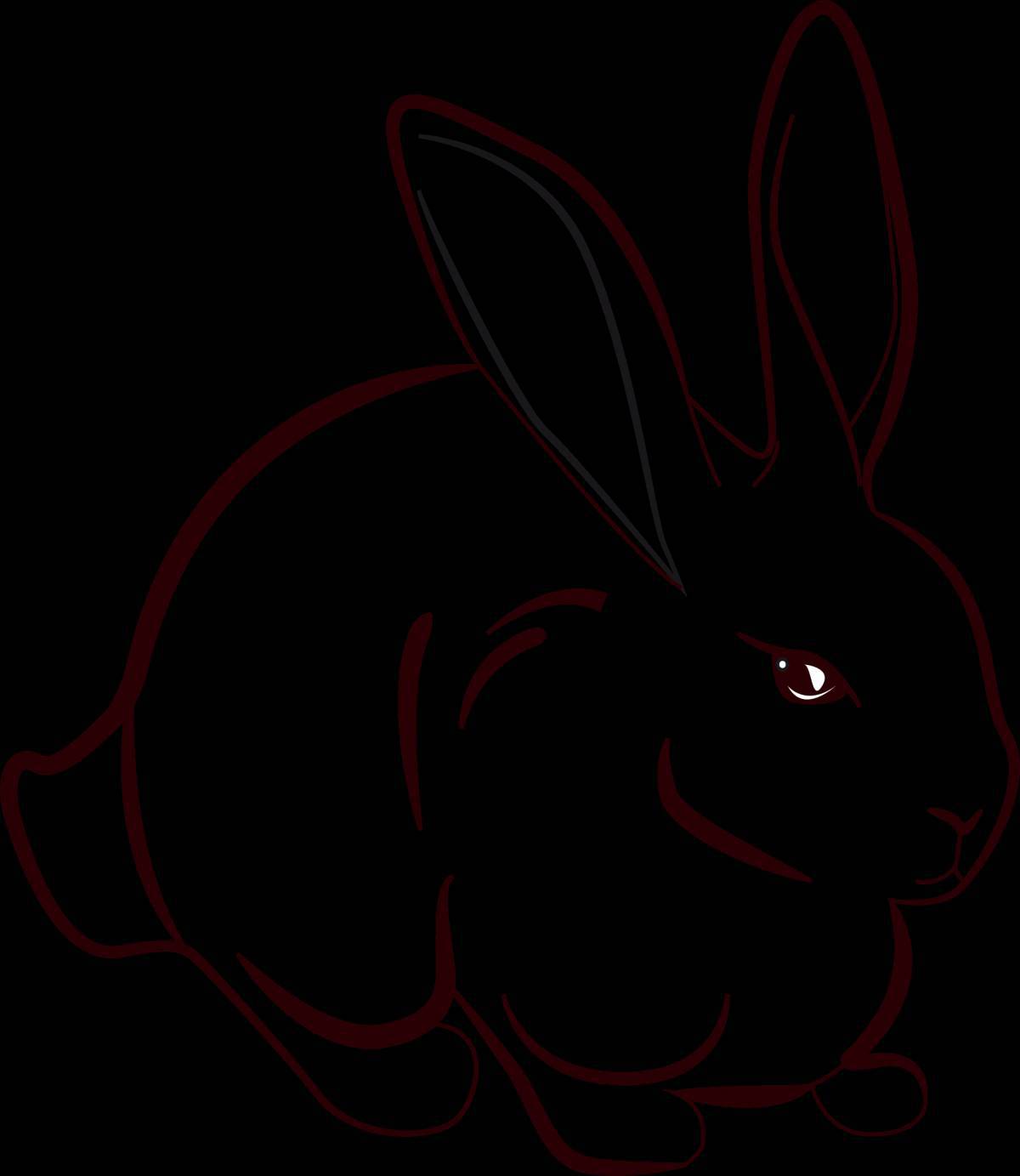 Кролик рисунок #12