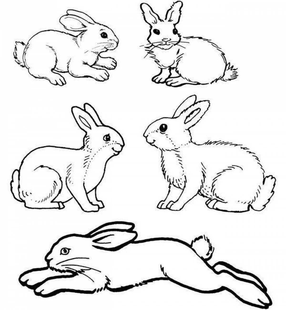 Кролик рисунок #17