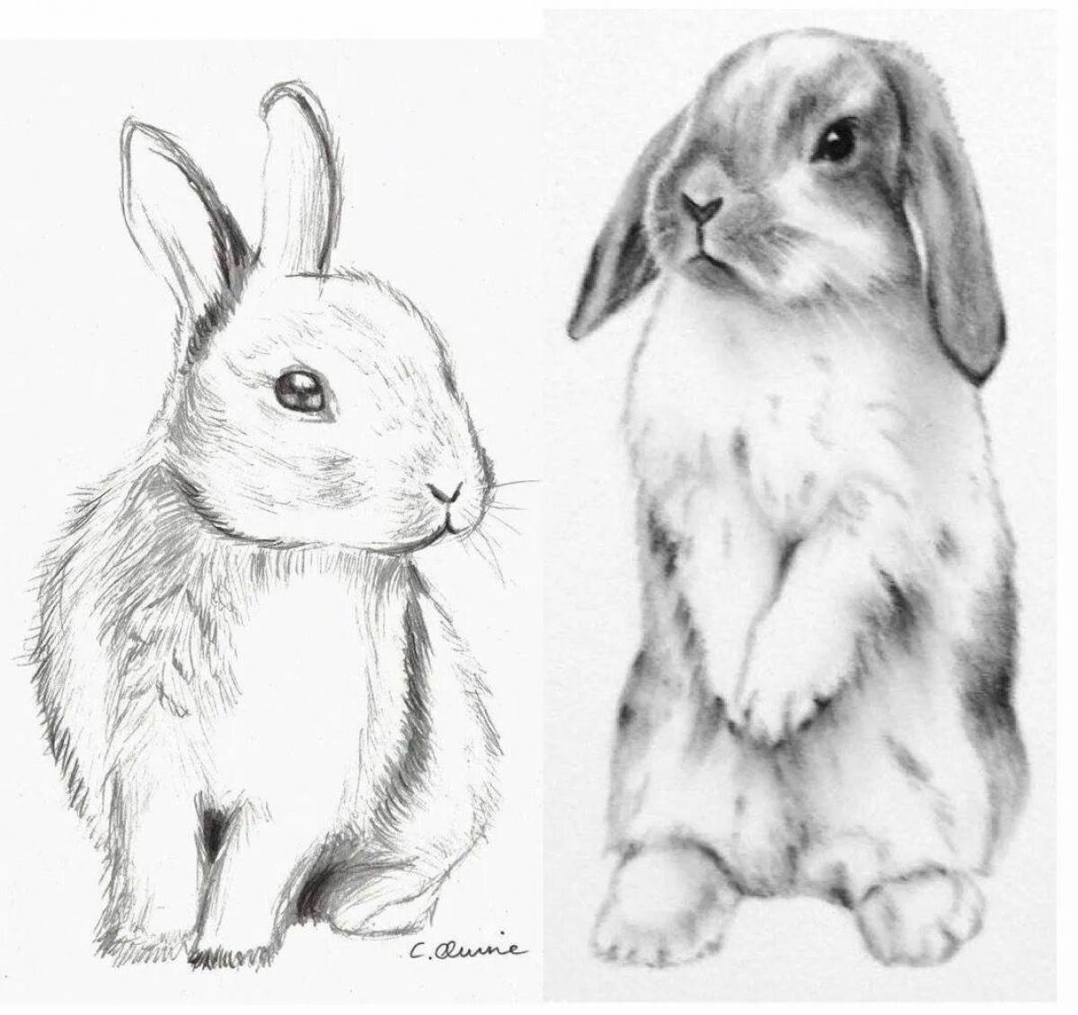 Кролик рисунок #33