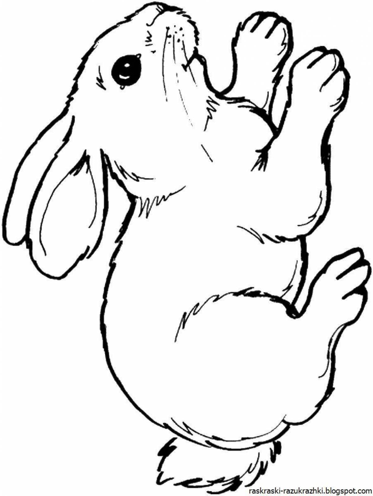 Кролика раскраску #18
