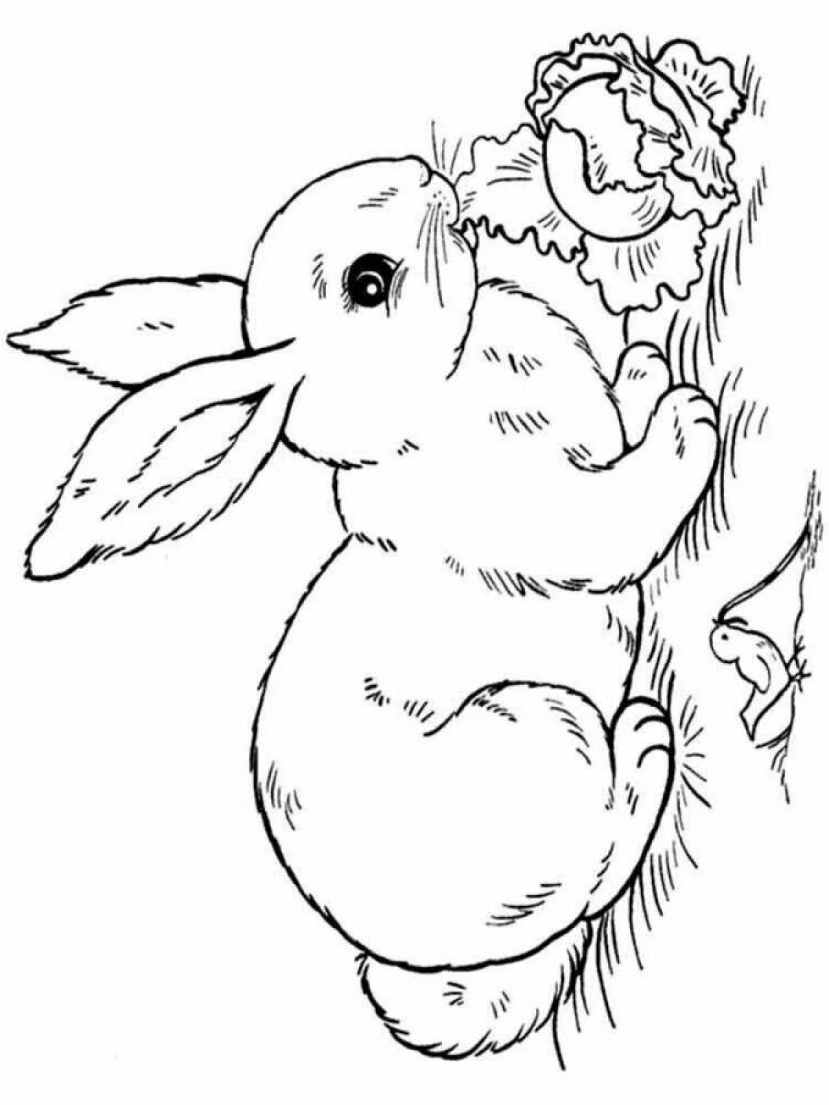 Кролика раскраску #23