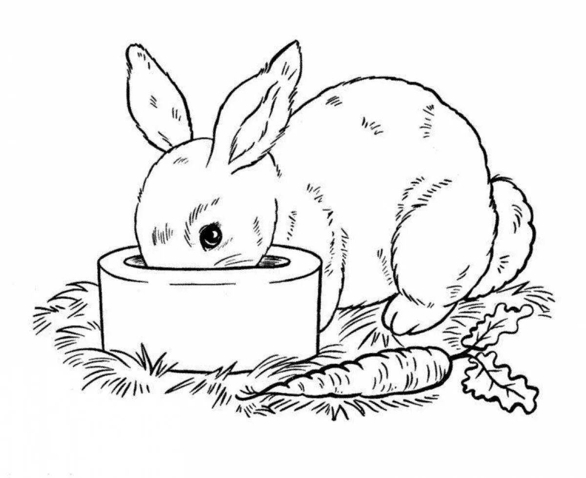 Кролика раскраску #25