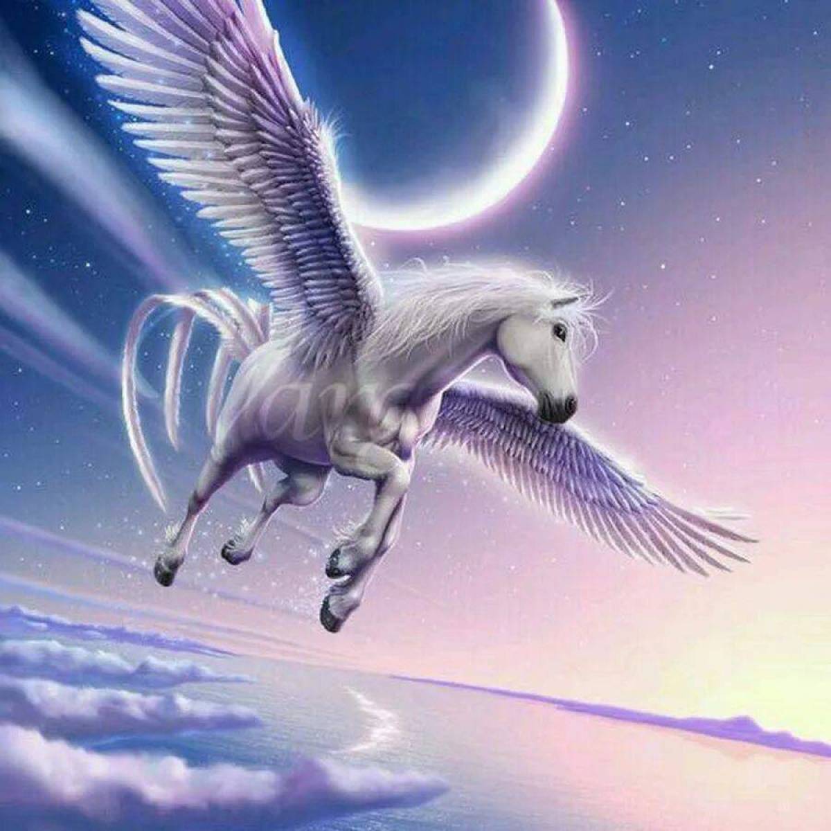 Отец крылатого коня пегаса. Крылатый Единорог. Лошадь с крыльями. Единорог с крыльями. Пегас Единорог.