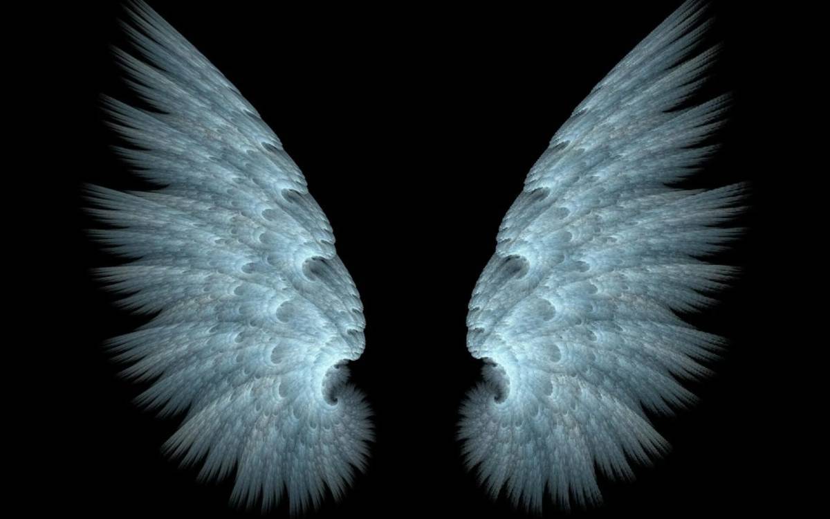 Крылья ангела #3