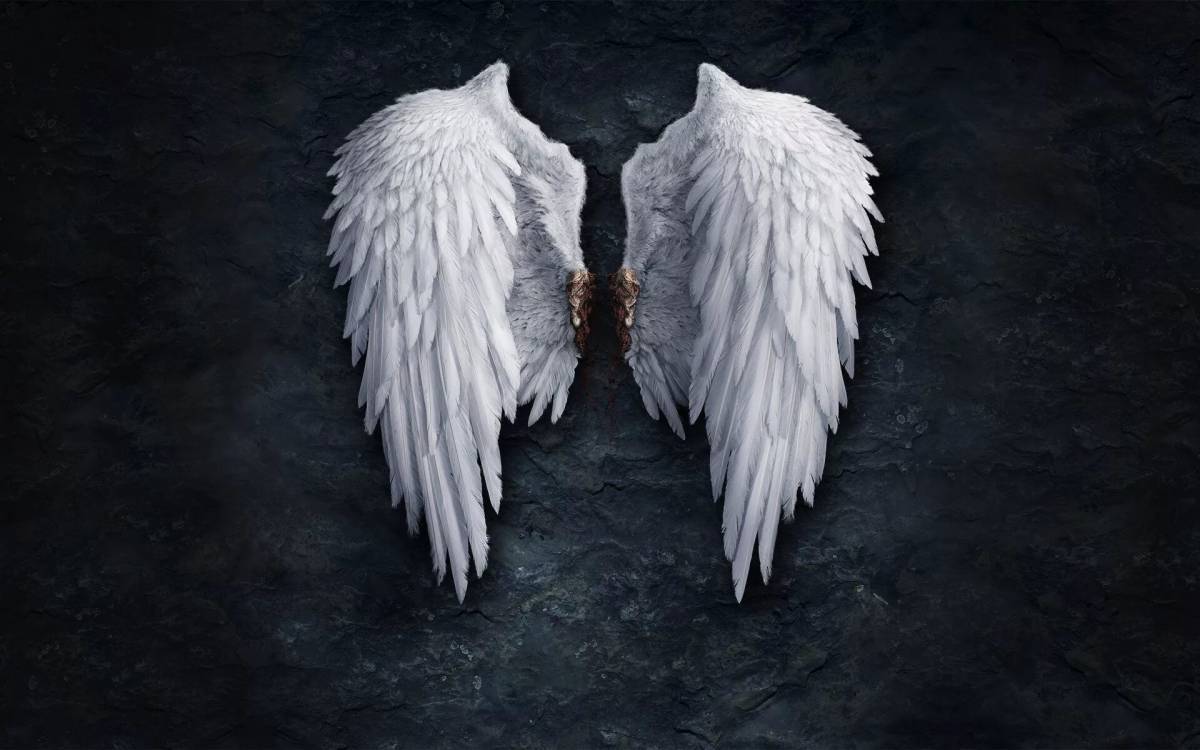 Крылья ангела #10