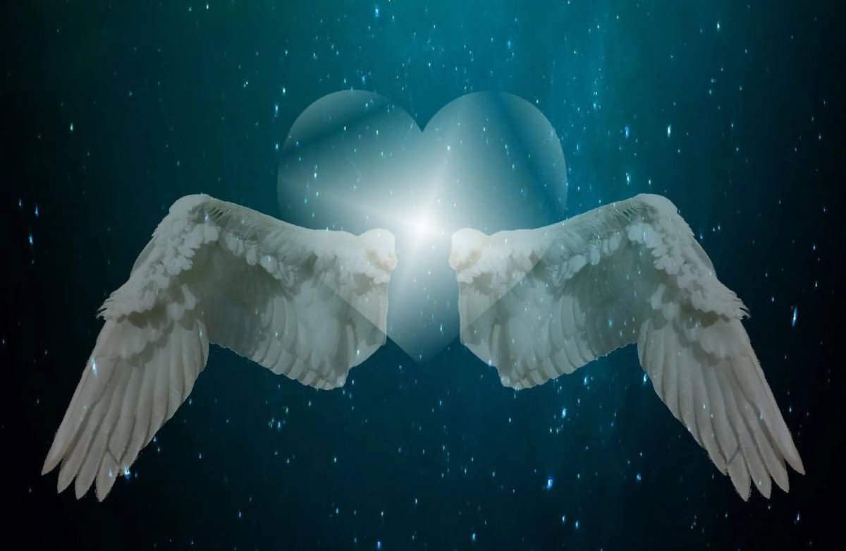 Крылья ангела #12
