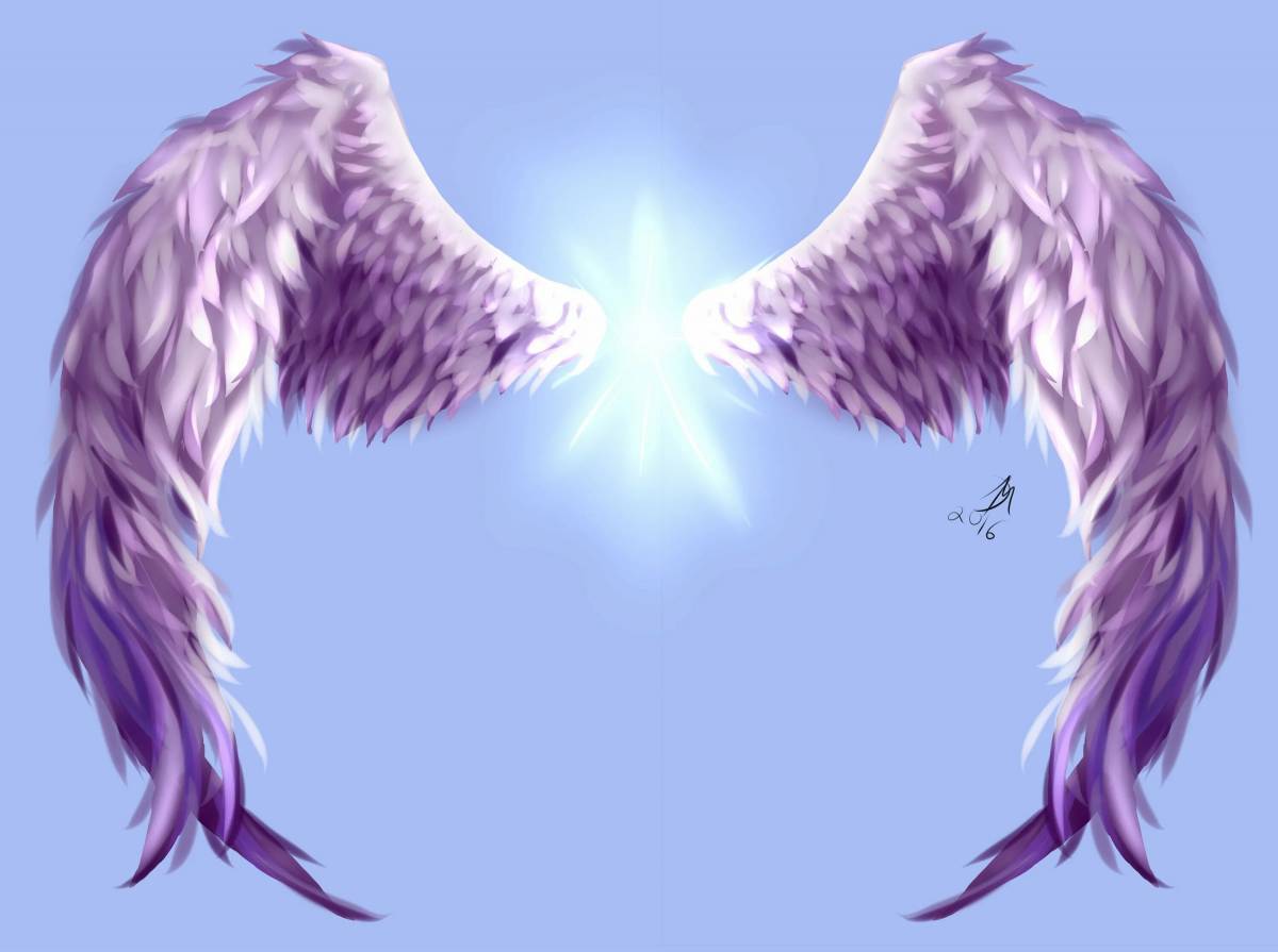 Крылья ангела #14