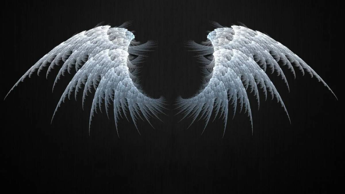 Крылья ангела #15