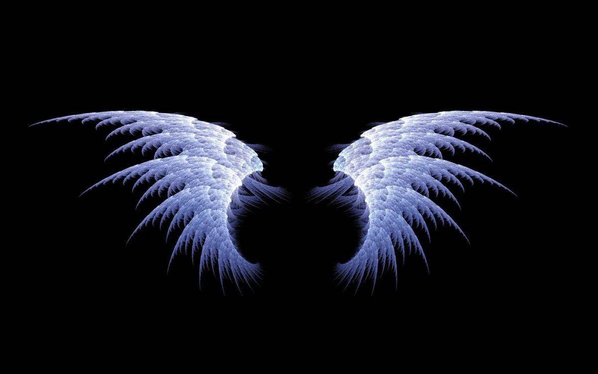 Крылья ангела #19