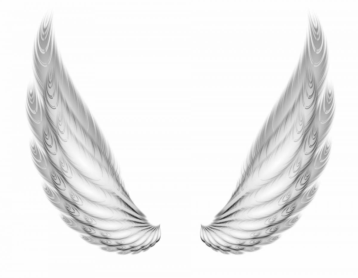 Крылья ангела #20