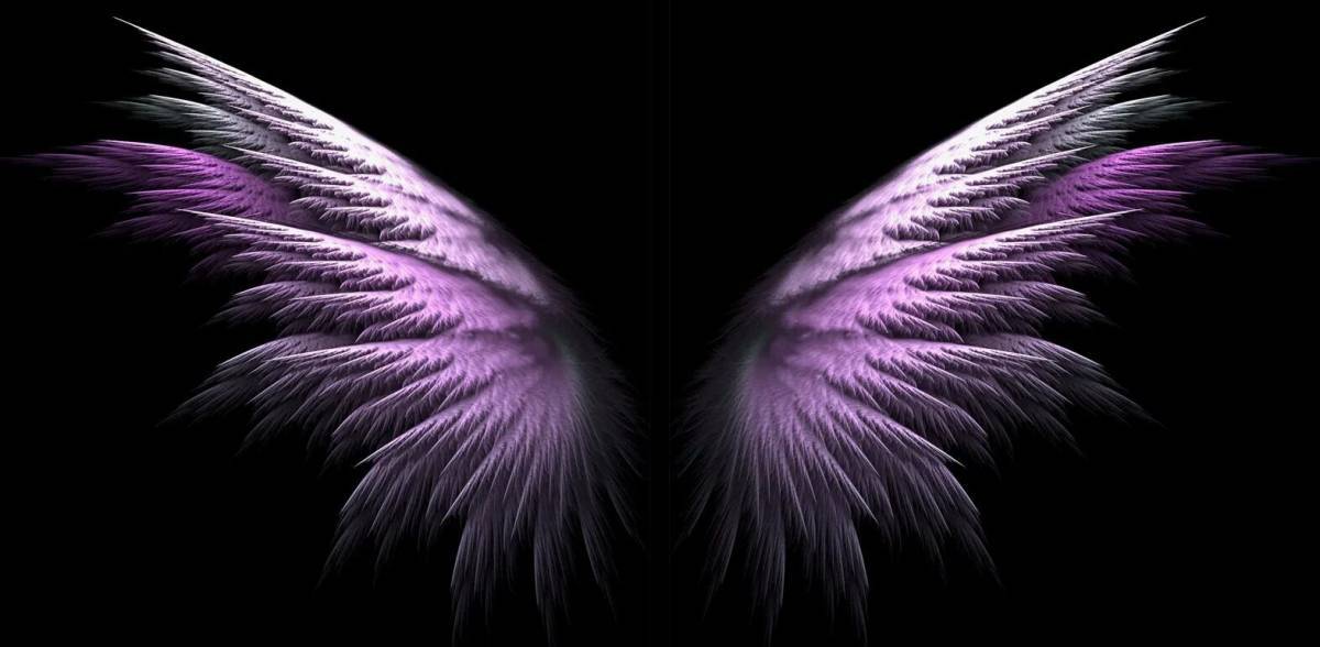 Крылья ангела #27