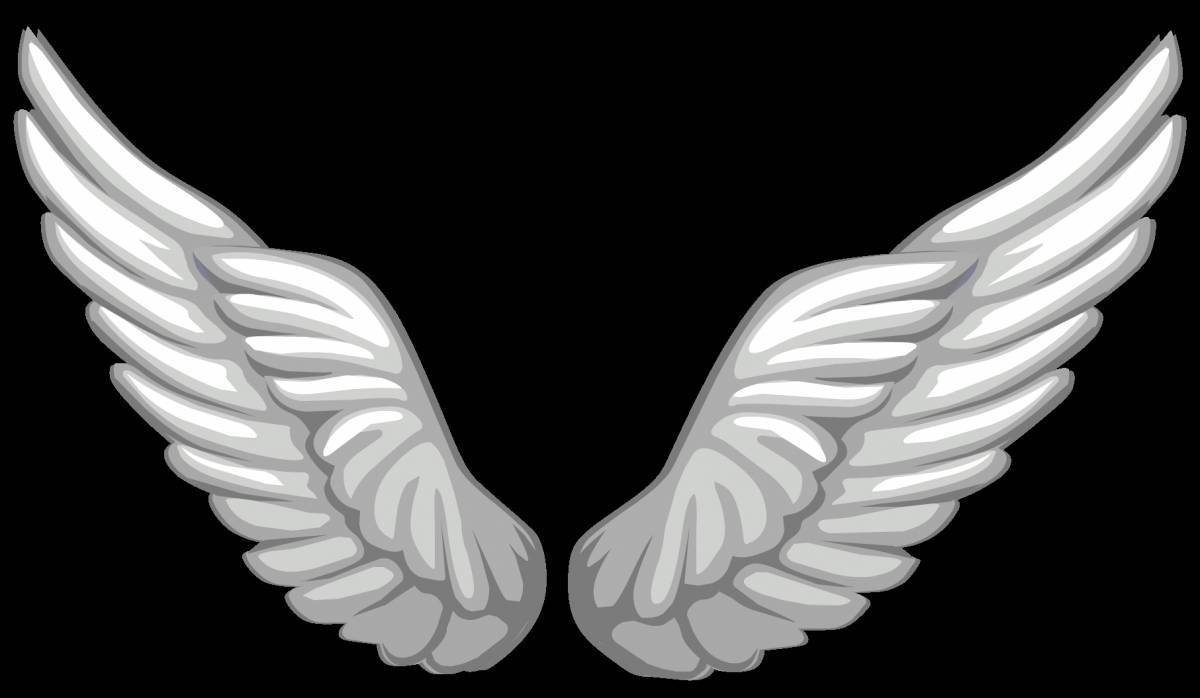 Крылья ангела #29