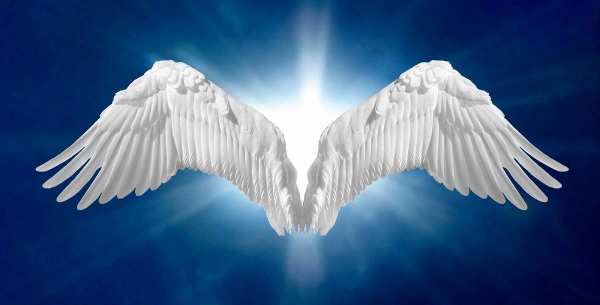 Крылья ангела #33