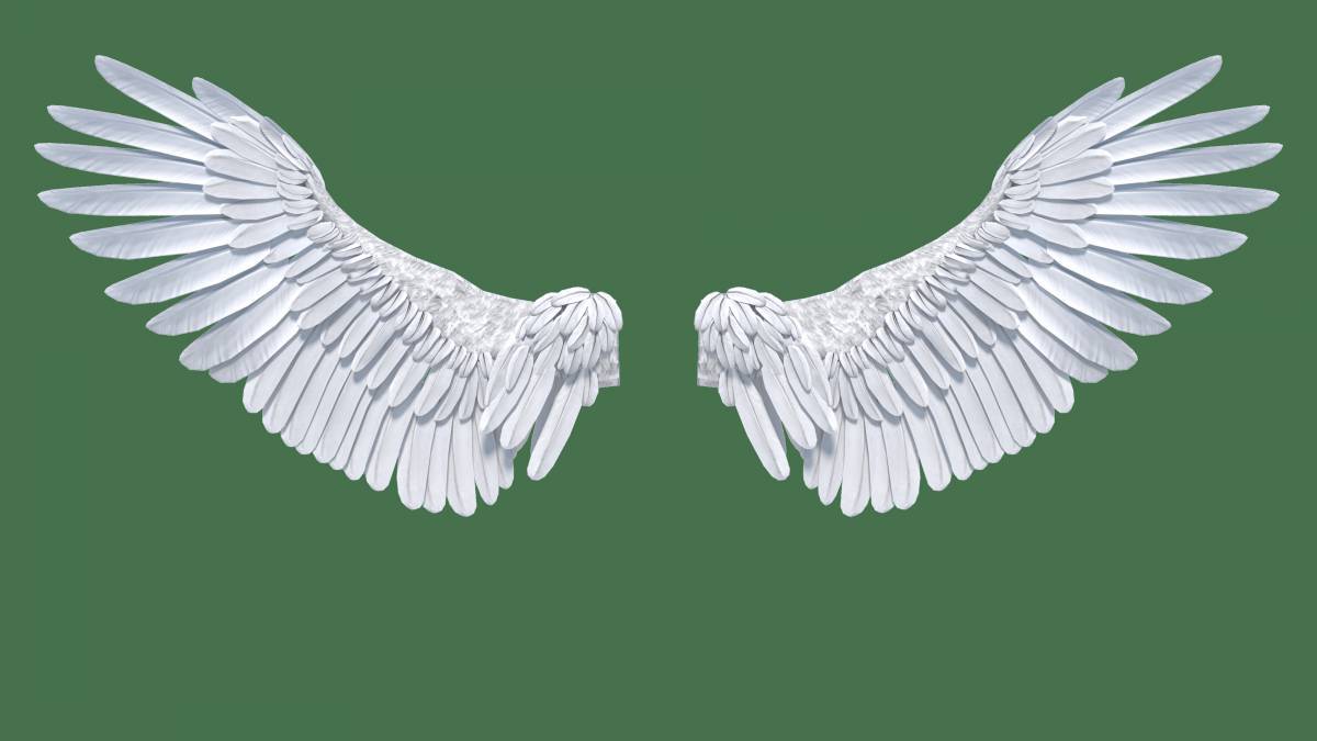 Крылья ангела #34