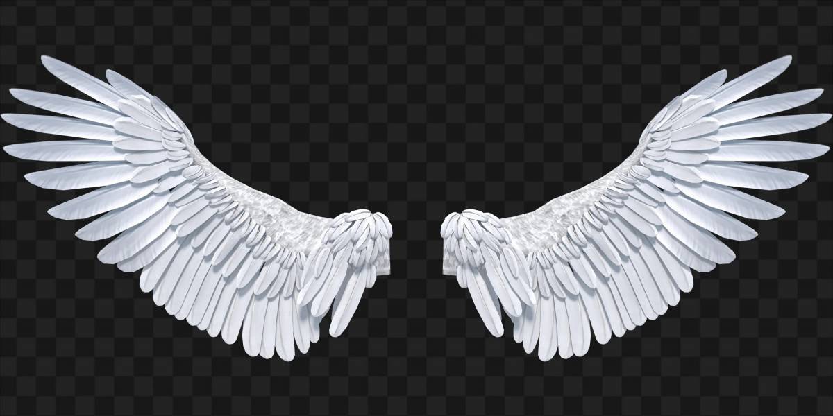 Крылья ангела #35