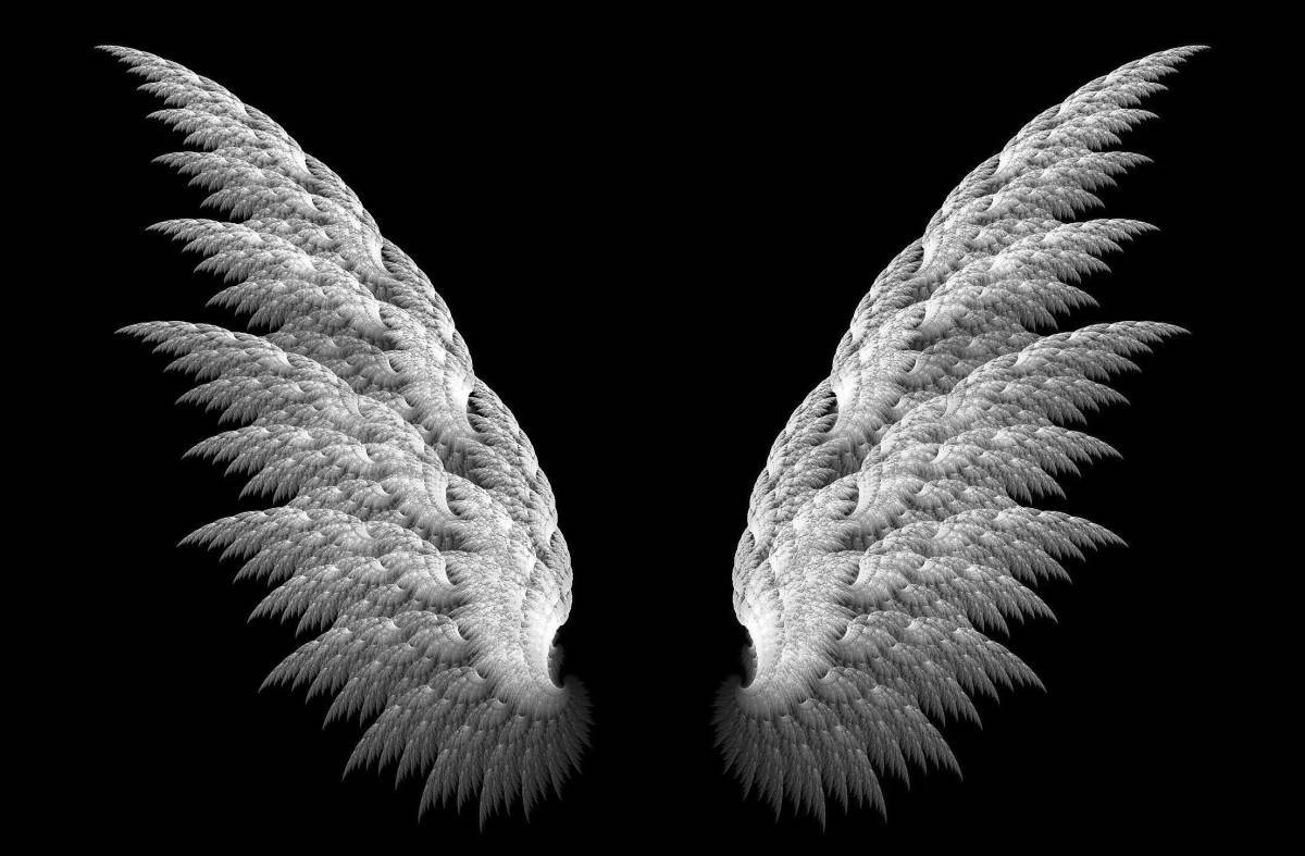 Крылья ангела #36