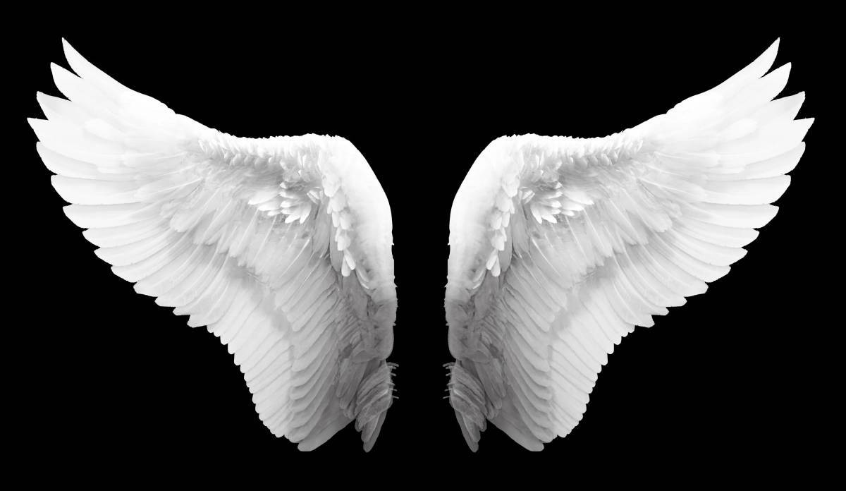 Крылья ангела #37